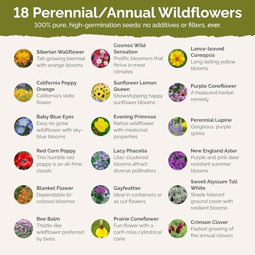 Eden Brothers The Bees Knees Wildflower Mixed Seeds for Planting, 1 lb, 480,000+ Seeds with Siberian WallFlower, Cosmos | Attracts Pollinators, Plant in Spring or Fall, Zones 3, 4, 5, 6, 7, 8, 9, 10