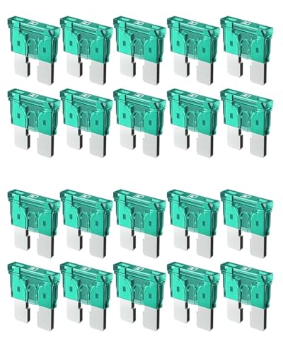 Riseuvo 20pcs 30A Standard Car Fuses - 30 AMP Automotive Fuses(ATO/APR/ATS) 32V (12/24V) Blade Fuse for RV/Truck/SUV