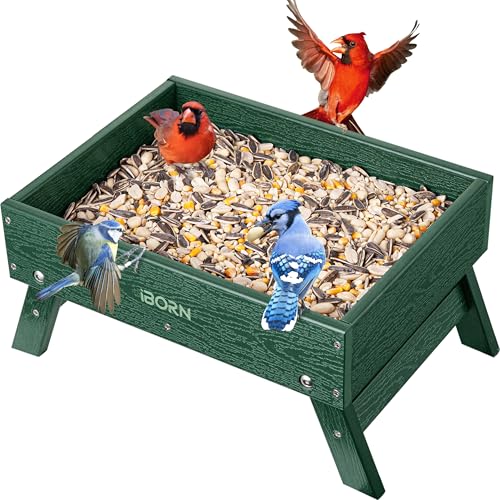 iBorn Ground Bird Feeder, Bird & Squirrel Platform Feeder for Outdoors, WPC Recycled Plastic, 3.6LB Large Capacity, Green