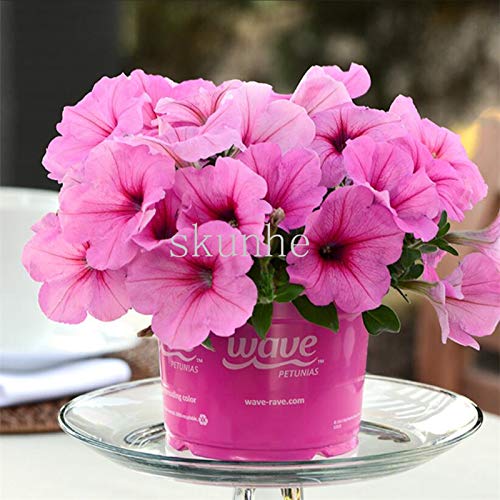 Generic 4 Pcs Storage Box Amazon.in Home & Kitchen