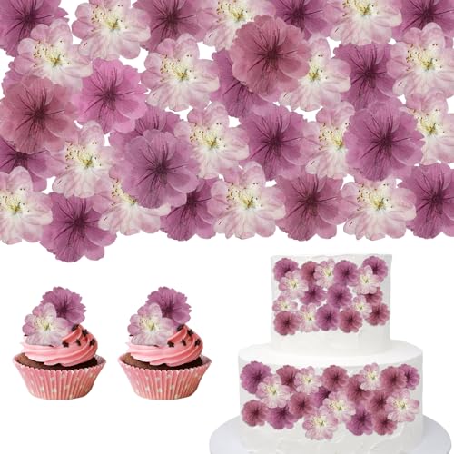 CENCERY 48 Stück Natürliche Getrocknete Blumen für Tortendekoration Cupcake Toppers & Cocktail Garnituren (Sakura Kirschblüten)
