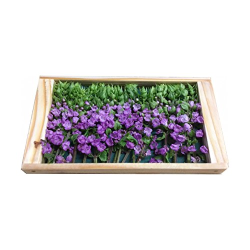 花穂紫蘇 （はなほじそ） 約17〜20本入り パック 国産 飾り花のサムネイル