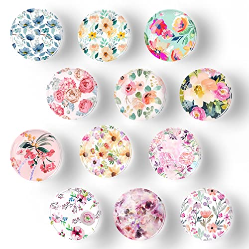 Bamsod 12 PCS Glass Strong Refrigerator Magnets, Patel Pattern Series for Whiteboard, Office Cabinets, Round Fridge Stickers, Home Kitchen Decor