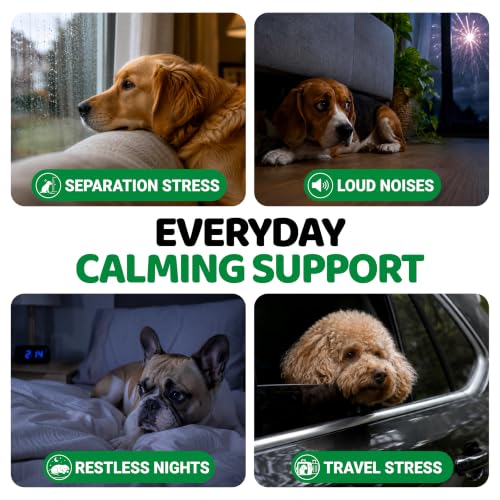 Advanced Calming Chews for Dogs - Hemp Dog Calming Chews Anxiety Relief - Image 5