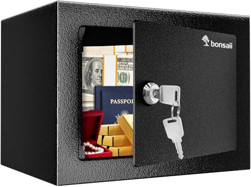 Bonsaii Tresor mit Schlüssel, 6,6 L Safe Tresor mit Stahlkonstruktion für Bargeld, Schmuck und Wertsachen, 17 x 23 x 17 cm, geeignet für Zuhause, Büro und Hotel
