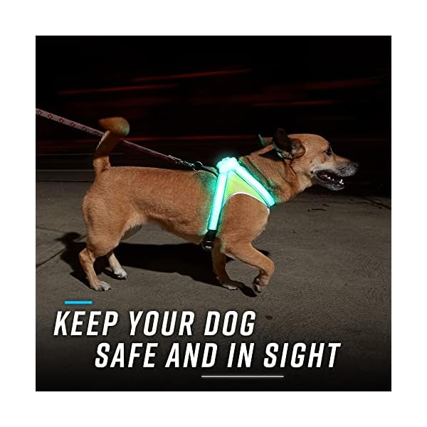 noxgear-LightHound--Revolutionary-Illuminated-and-Reflective-Harness-for-Dogs-Including-Multicolored-LED-Fiber-Optics-USB-Rechargeable-Adjustable-Lightweight-Rainproof USB Rechargeable Harness for Dogs