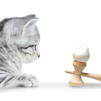 Amazon.co.jp: ねこけん くろねこけん けん玉 猫グッズ