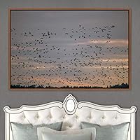 Framed Canvas Wall Art Flying Together Birds Farmhouse/Country Group Group Multicolor Photography Realism Relax/Calm Warm - 16x24 inches