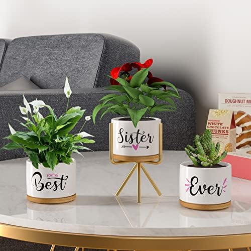TuDou Birthday Gifts for Sister, Christmas Sister Gifts for Sister Brother Friends from Sister Brother Bestie, Best Sister Ever Ceramic Succulent Pots, Unique Presents Arrive Beautifully Gift Boxed