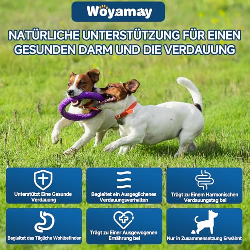 Woyamay Probiotika für Hunde – 200 Weiche Kausnacks Mit Hühnergeschmack, Zur Unterstützung der Verdauung und des Allgemeinen Wohlbefindens, Mit Ausgewogener Darmflora und Fellpflege für Alle Hunde
