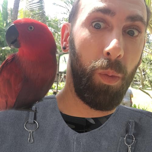 Protector de hombro para loros para pasear aves en casa de forma segura con chal de tela 7