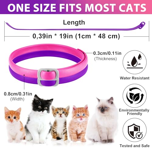 Zecken-Flohband Katze, Flohhalsband für Katzen, 4 Stück gegen Larven und Eier – beseitigt und tötet – schützt das Tier und den Lebensraum, effektiver Schutz für 24 Monate, verstellbar und wasserdicht