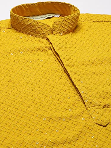 Image of Rajubhai Hargovindas Men Chikankari and Sequin Work Kurta