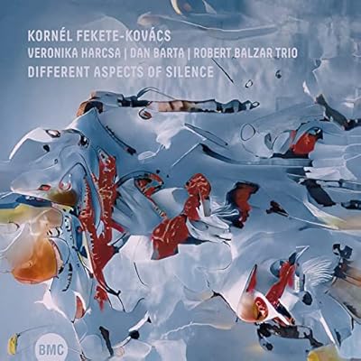Different Aspects Of Silence