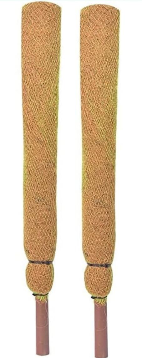 3 Feet Coir Moss Stick/cocopole for Climbing Indoor and Outdoor Plants Multicolour Creeper Support/Moss Stick(Pack of 2) (B0CCPCW831) Amazon Price History, Amazon Price Tracker