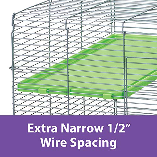 Kaytee My First Home Multi-Level Exotics Habitat For Pet Chinchillas, Rats, Degus, Sugar Gliders And Other Exotic Small Animals #TOP2