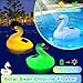 FineBud Pool Chlorine Floater, Solar Swan Chlorine Floater with Adjustable Release, Floating chlorines Dispenser with Colorful Light, Easy Opening Solar chlorines floaters for Hot Tub