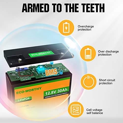 Eco-Worthy (2 Pack) 12V 30Ah Lifepo4 Lithium Iron Phosphate Battery, 3000+ Deep Cycle Rechargeable Battery, Perfect For Mobilty Scooter, Power Wheels, Wheel Chair, Lawn Mower, Trolling Motor, Off Grid #TOP5