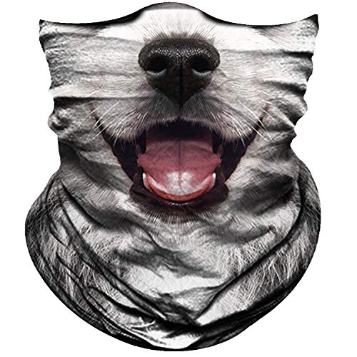 Sneeze Guard Base Brackets Where to Buy At Best Price SmartResponder.info