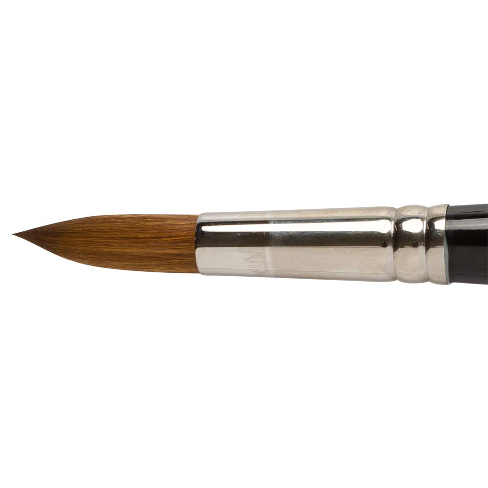 Pro Arte : Prolene Round Synthetic Watercolour Brush Series 101 Size 20