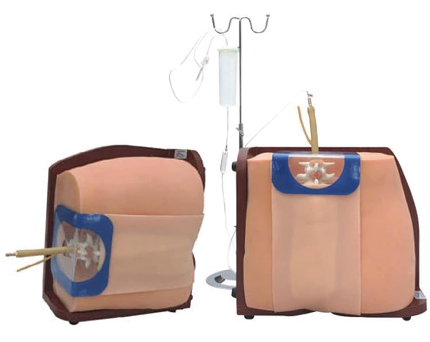 Symulator nakłucia lędźwiowego dla dorosłych, model do nauki nakłucia kręgosłupa, model do nauki klinicznego znieczulenia podpajęczynówkowego i zewnątrzoponowego, model do nauki umiejętności.