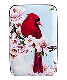 FIG DESIGNS Bird Armored Credit Card and Cash Wallet,Red,Classic