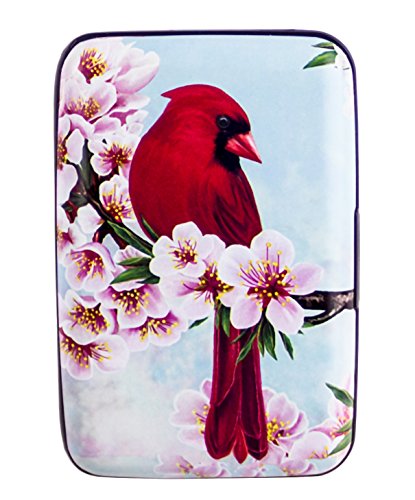 FIG DESIGNS Bird Armored Credit Card and Cash Wallet,Red,Classic
