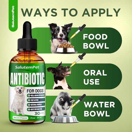 Dog Antibiotics for Infections, Cough, & Itching | Natural Antibiotics for Dogs for All Ages to Promote Wound Healing | Dog UTI Treatment and Tooth Infection Treatment | Chicken Flavor | 2 Oz - Image 6