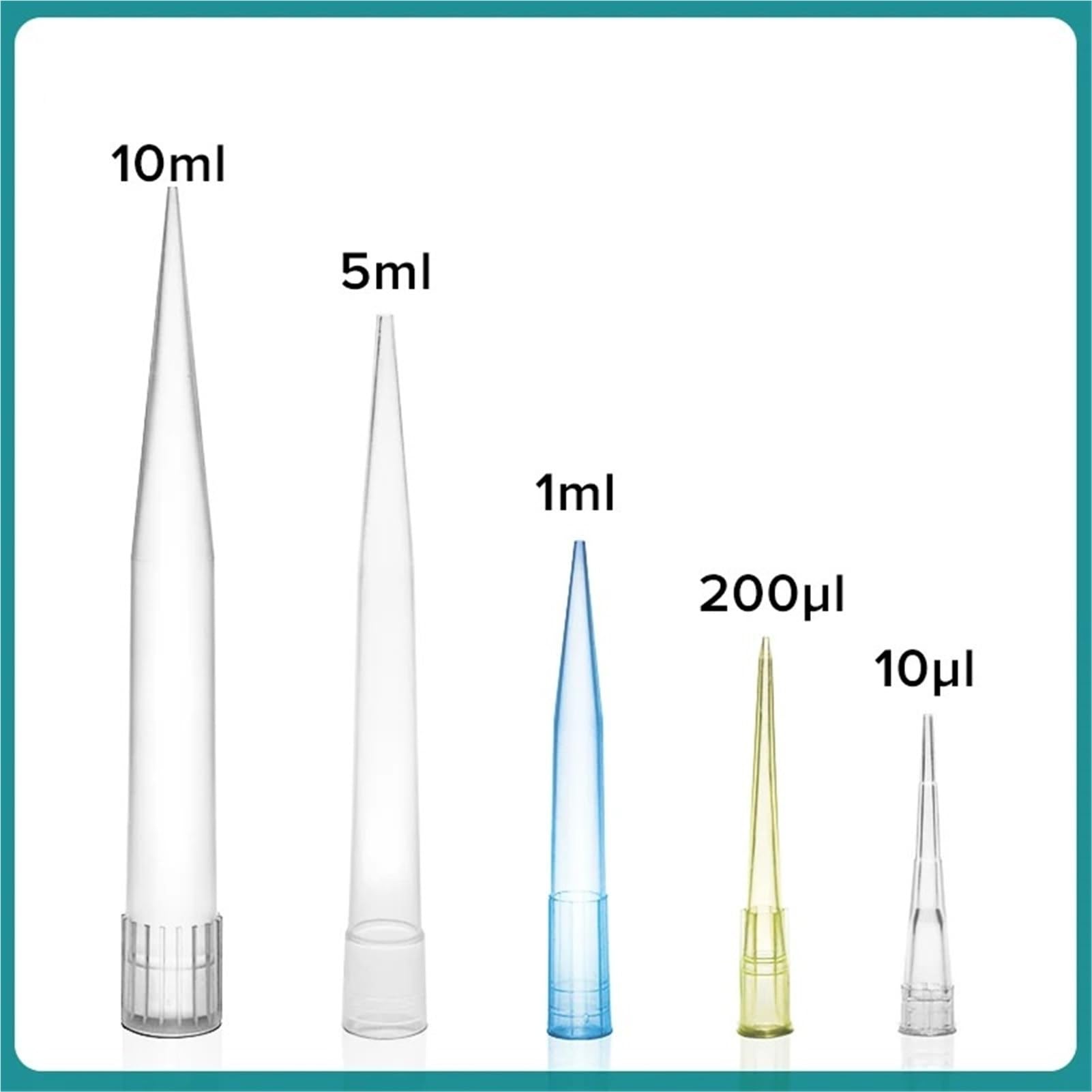 pipeta de laboratorio Puntas de pipeta de laboratorio 10 ul 200 ul 1 ml 5 ml 10 ml Caja de puntas de pipeta Equipo de laboratorio(5ml tip box)