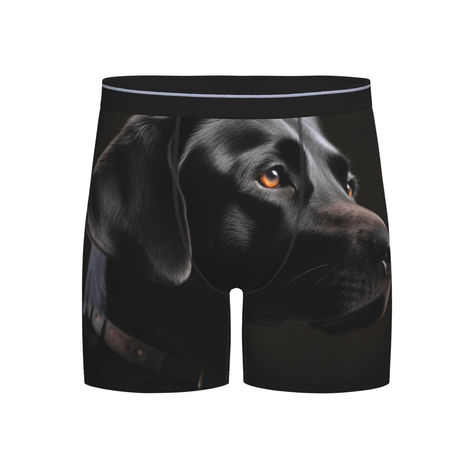 JHLMN Men's Underwear Soft Breathable Boxer Brief Moisture-Wicking Stretch Mens Boxer Black Labrador Trunks for Men, Black, M