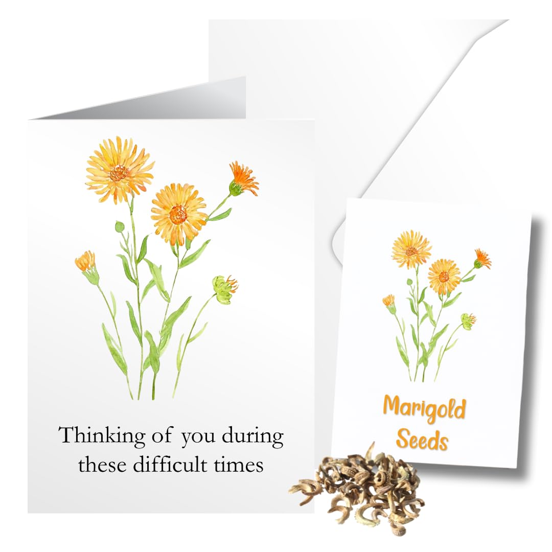 Sympathy Card Gift of Wild Marigold Seeds Matching Seed Packet Memory Card - Thinking of You — image 1