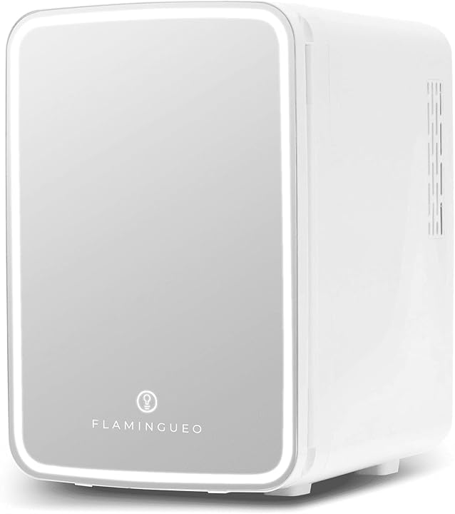 Flamingueo piccolo frigorifero mini frigo portatile