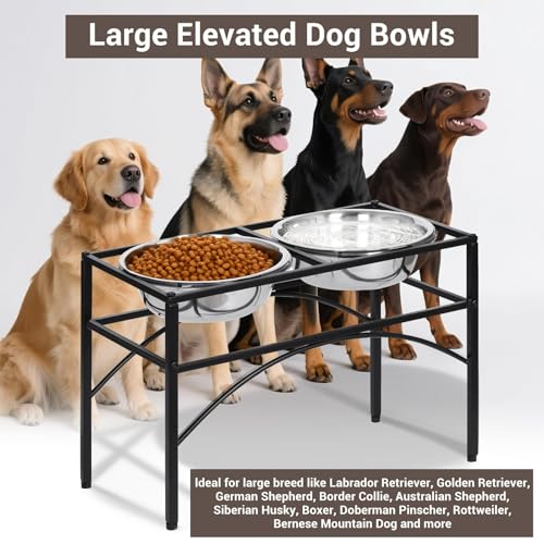 Gamelle surélevée double pour chien grand format qui protège le cou L - 3