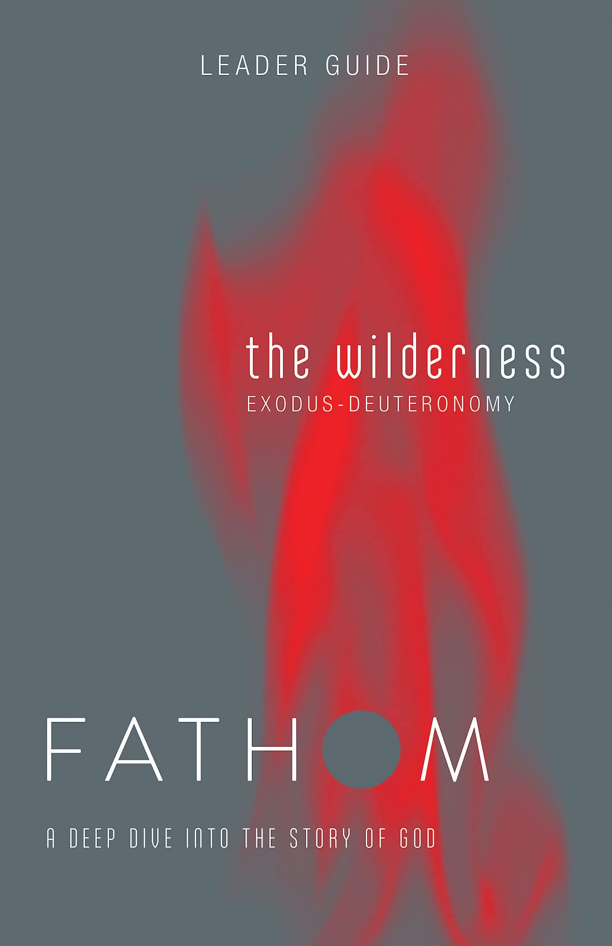 Fathom Bible Studies: The Wilderness Leader Guide (Exodus-Deuteronomy): A Deep Dive Into the Story of God [Paperback] Rose Taylor