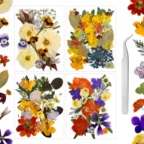 100 flores secas prensadas para manualidades miniatura 1