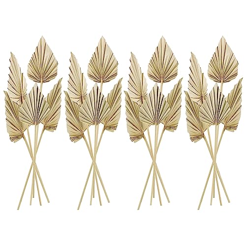 TsoLay 20 Piezas de Hojas de Lanzas de Palma Secas Bohemias, PequeñOs Abanicos de Palma Real, Hojas de Palma Secas con JarróN de DecoracióN de Hojas Secas de Tallo