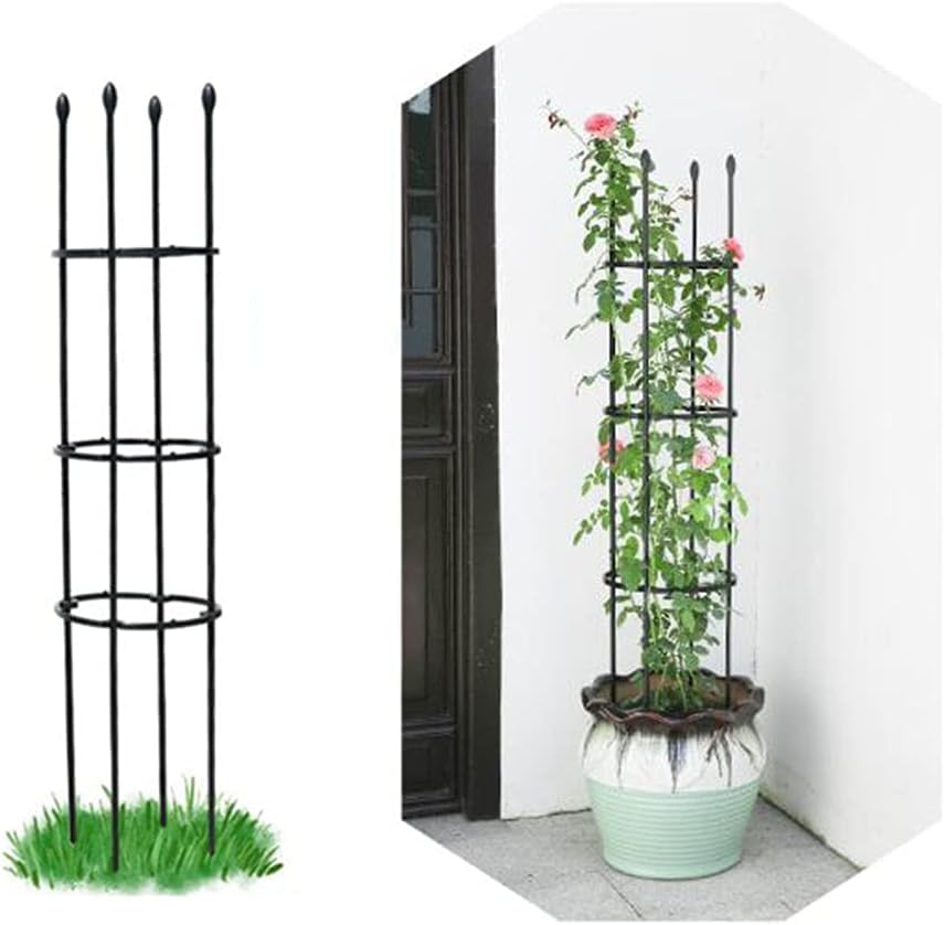 Treillis plantes grimpantes tuteur cage jardin légumes roses