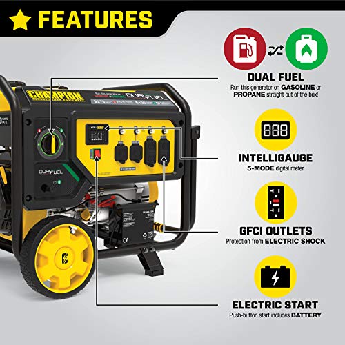 Champion Power Equipment 9375-Watt Dual Fuel Portable Generator, Electric Start - Image 4
