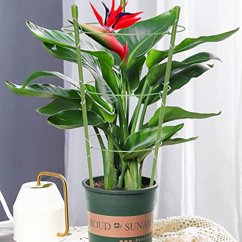 Plant Support Cages Tomato Cage For Garden Adjustable Flowers Vegetables Plants Climbing Trellis Garden Plant Stakes 2 Pack #TOP5