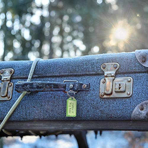 Lucky Line Key Tag With Flap And Split Ring, Assorted Colors, 100 Per Display Box (60500) #TOP6