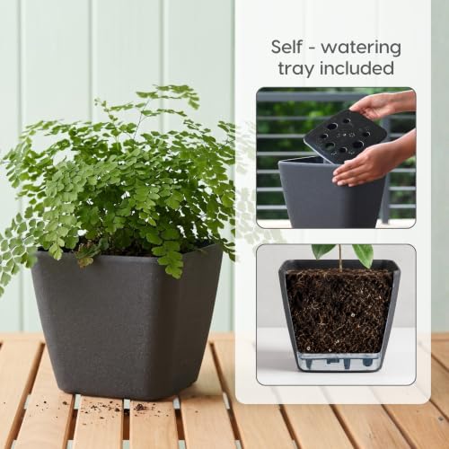 Image of Eha Earth-Friendly Daisy 9 inch Pots and Planters Made with Rice Husk, Set of 2