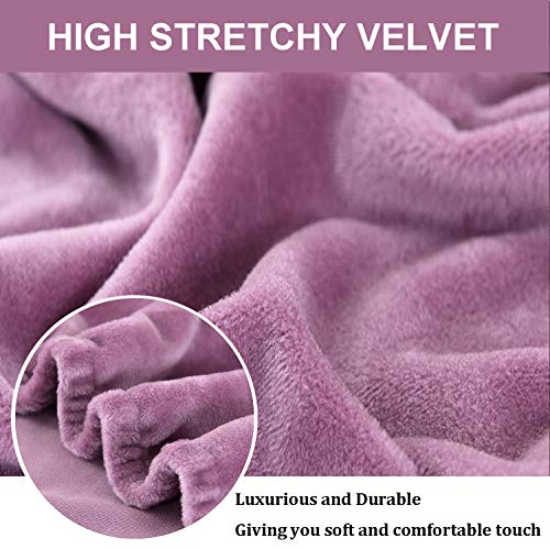 Teynewer Thick Velvet Sofa Covers 1 2 3 4 Seater High Stretch Non-Slip Couch Cover Elastic Furniture Protector Plush Sofa Slipcovers with 1 pillowcase for Living Room Dogs Cat Pet (4 Seater - Image 3