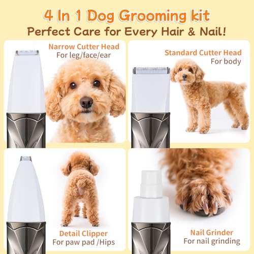 4 in 1 Hundeschermaschine Set Ninonly Leise Wiederaufladbar Schermaschine Hund Katze mit 4 Multifunktions Schneidköpfen für Körper, Pfoten, Augen, Ohren Pfotentrimmer für Hunde Gunmetal