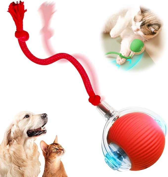 Genérico Pelota Interactiva para Perros, Pelota para Perros Que Rueda Sola, Juguetes Interactivos para Gatos, Juguete Automático para Gatos, Juguete Inteligente Automático con Que Rueda 360° (Rojo)