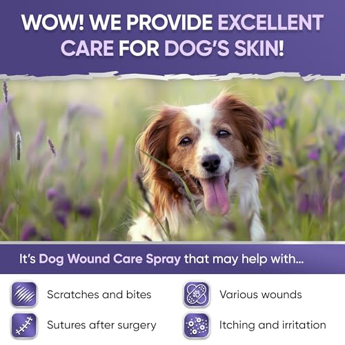 Dog Wound Care + Lavender | Wound Care for Dogs | Skin Irritation Treatment | All Breeds Itch Spray | Lavender Spray | Pet Cone | 4 Oz