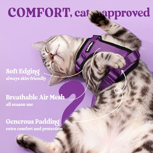 Image of rabbitgoo Cat Harness and Leash Set, Escape Proof Vest, Purple