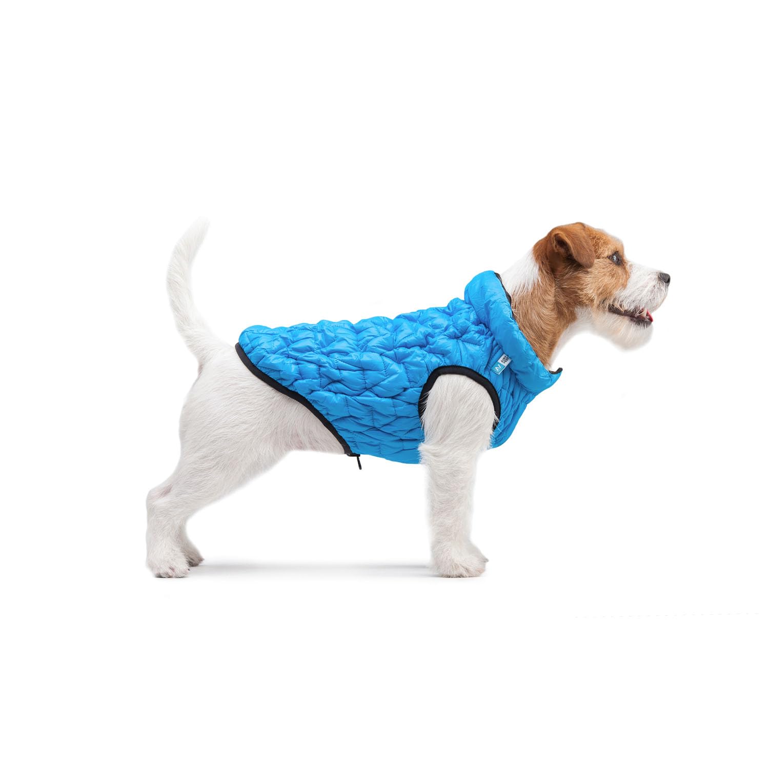 AiryVest, chaqueta flexible para perros con bolsillo, resistente al agua, abrigo para perros, impermeable, azul, XS – 28 x 41 x 27 cm
