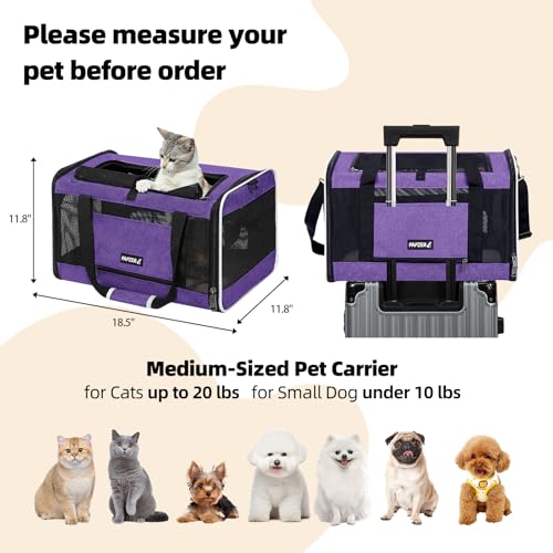 Image of Cat Carrier Soft-Sided 18x11x11 Inch Travel Bag for Medium Cats over 15lbs, Small Dog Carrier Crate Top Entry Breathable Mesh Puppy 12 Pounds, Pet Rabbit Carrying Cage Kennel Collapsible Purple