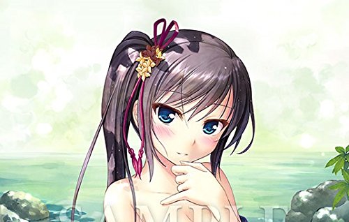 Amazon.co.jp: 千の刃濤、桃花染の皇姫 稲生滸 描き下ろしB2  