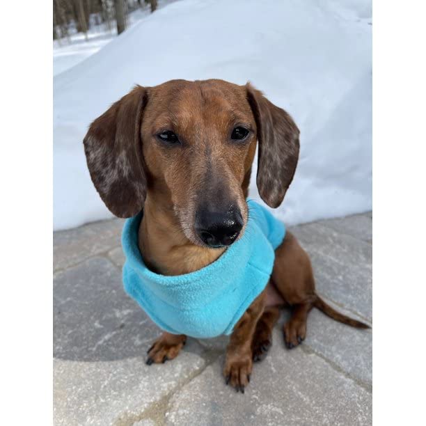 Gooby Fleece-Hundepullover mit Reißverschluss, Größe XXXL, Warmer Fleece-Hundejacke zum Hineinsteigen, ohne Ringleine, Winterpullover für kleine Hunde, Jungen und Größe M, Türkis, Größe 3XL